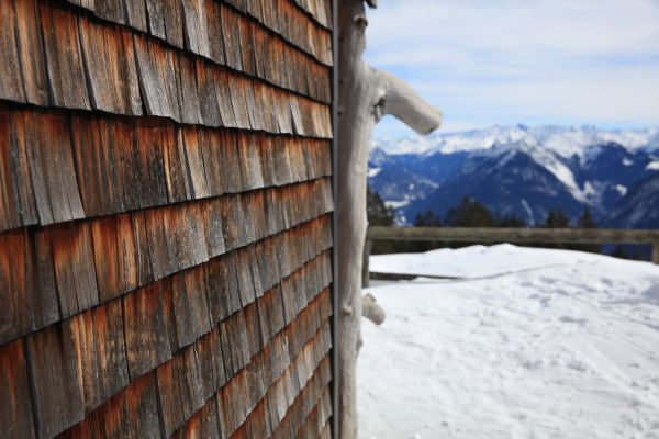 Cedar Siding Repair in Greeley
