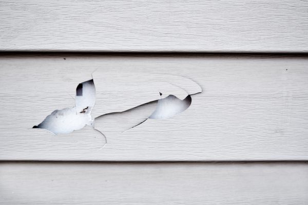 Siding Leak Repair in Greeley