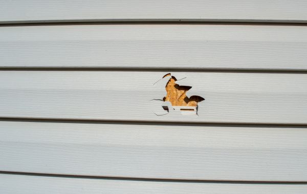 Siding Hole Patching in Greeley