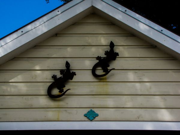 Shiplap Siding Installation in Greeley